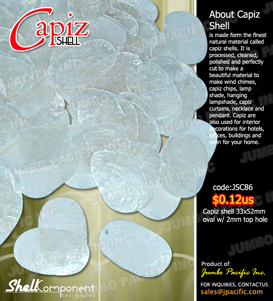 Capiz chips 33x52mm oval with 2mm top hole. Available in any colors and shapes.